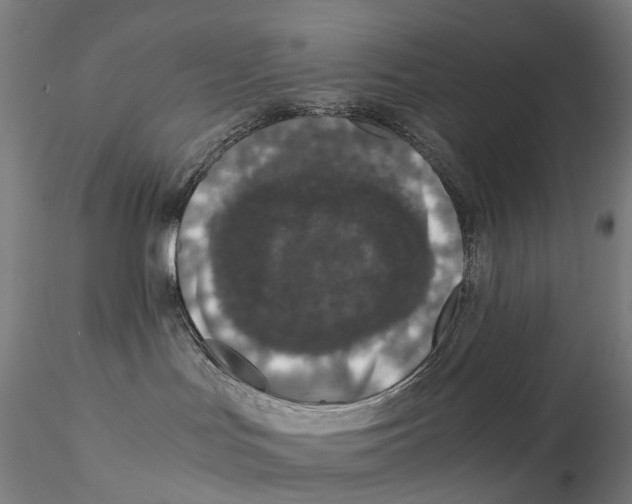 X0000115210047200911251518