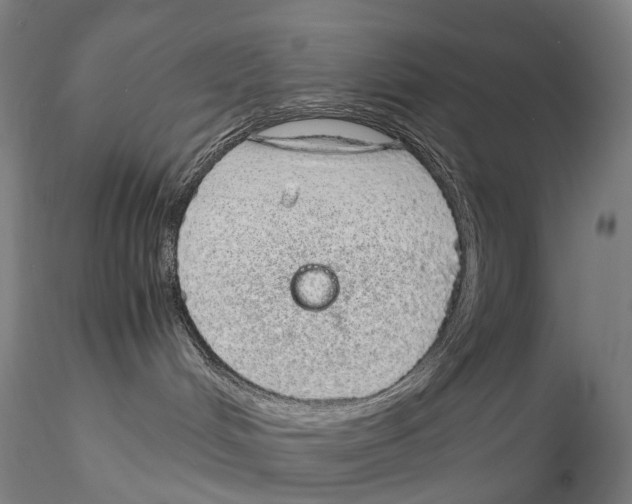 X0000115210048200911251518