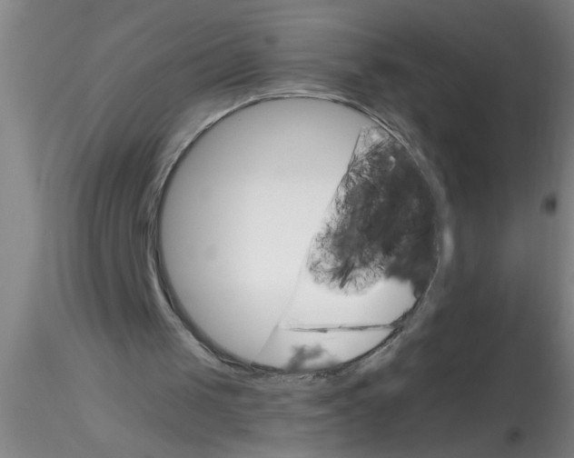 X0000115210049200911251517