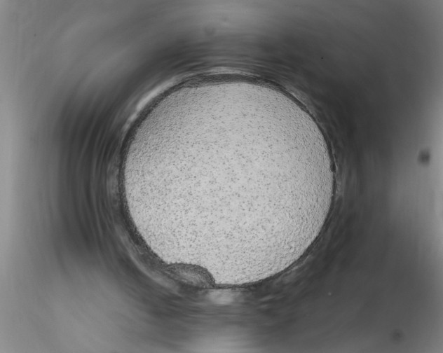 X0000115210050200911251517