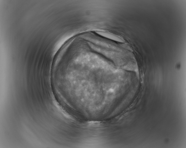 X0000115210052200911251517