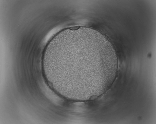 X0000115210054200911251517