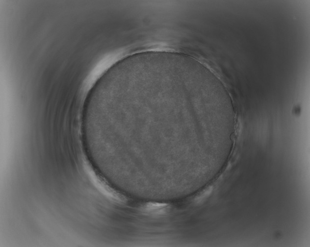 X0000115210055200911251517