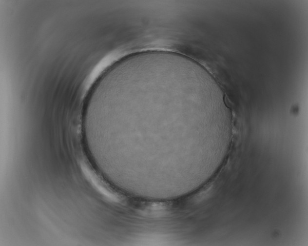 X0000115210056200911251517