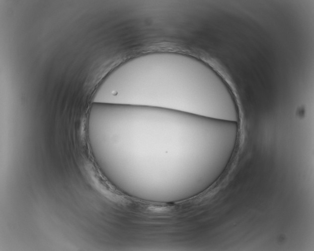 X0000115210057200911251517