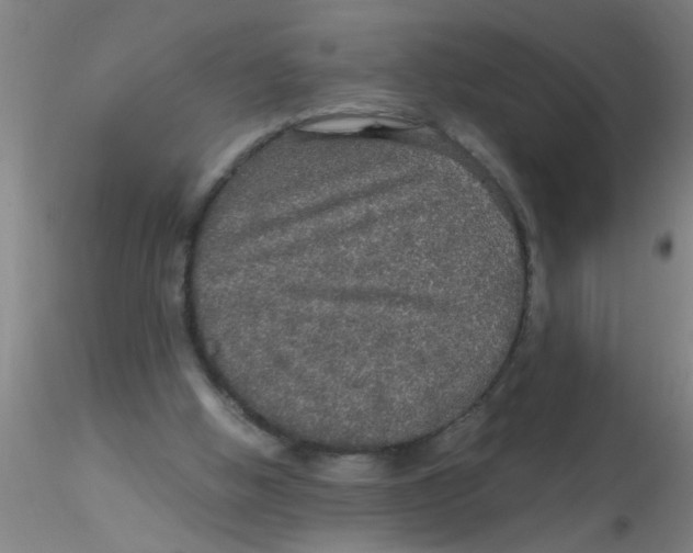 X0000115210058200911251517