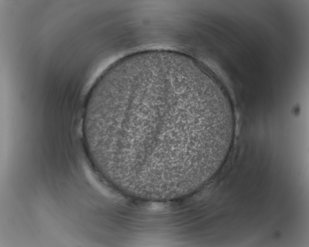 X0000115210060200911251518