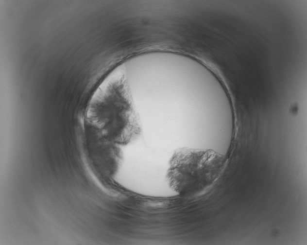 X0000115210061200911251518