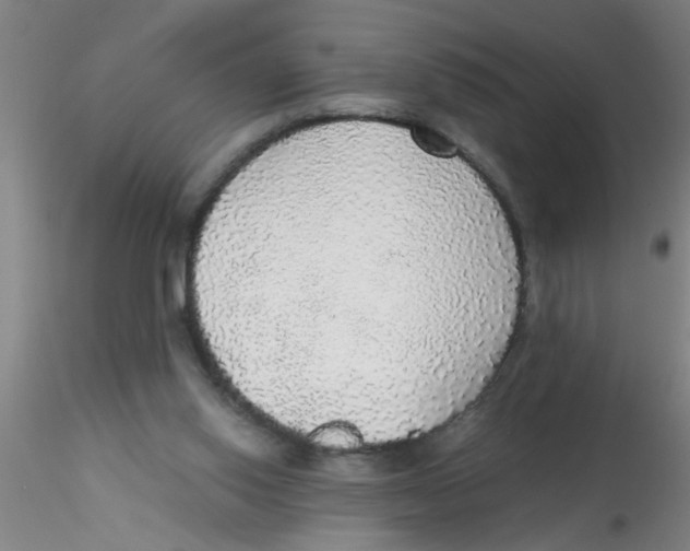 X0000115210062200911251518