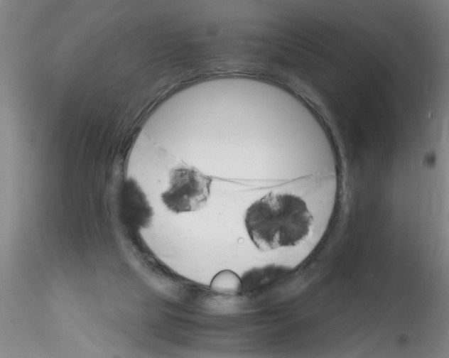 X0000115210065200911251518