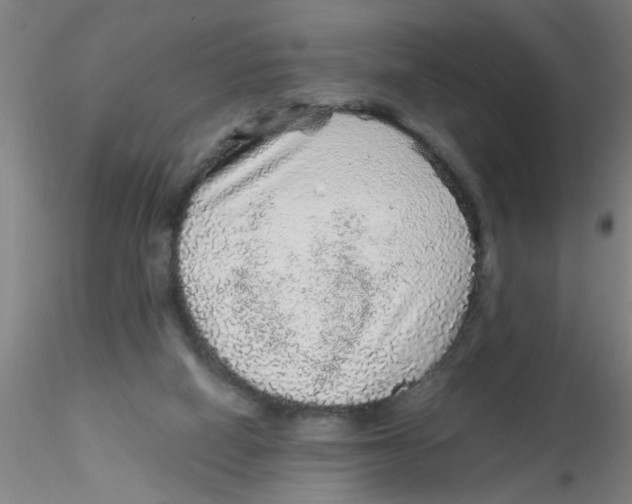 X0000115210066200911251518