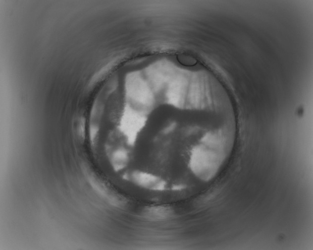 X0000115210067200911251518