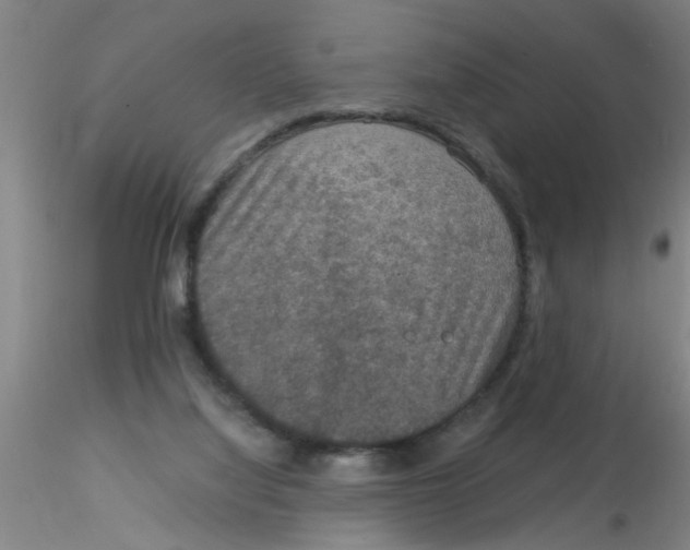 X0000115210068200911251518