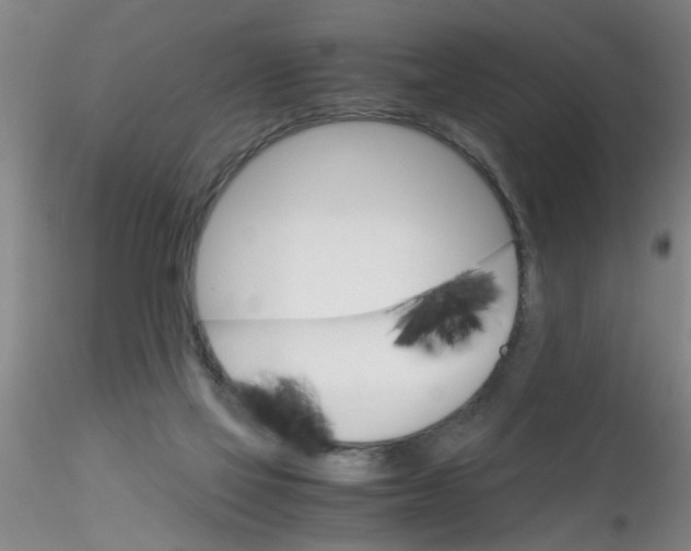 X0000115210069200911251518