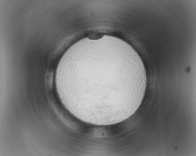 X0000115210070200911251518