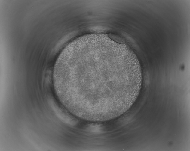 X0000115210071200911251518