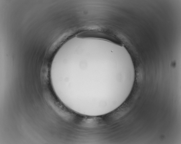 X0000115210072200911251518