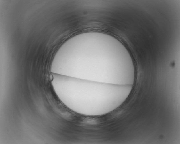 X0000115210073200911251518