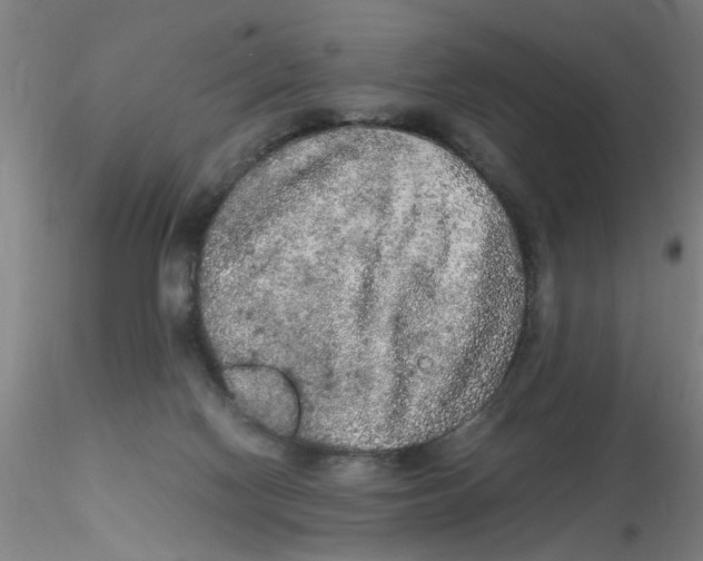 X0000115210074200911251518