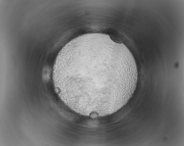 X0000115210075200911251518