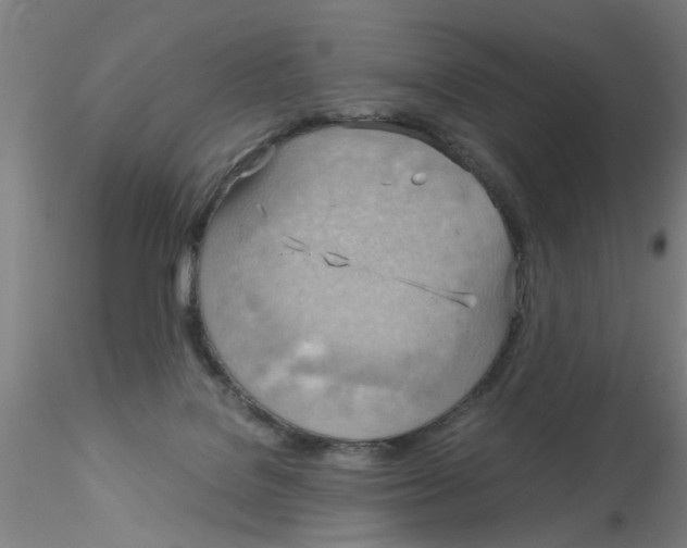 X0000115210076200911251518