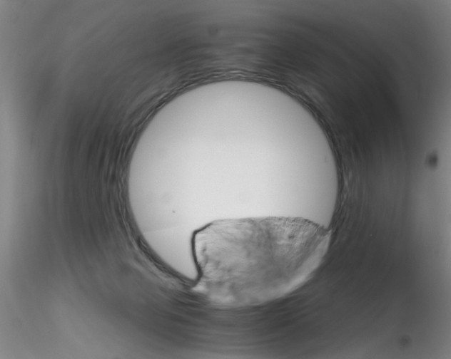 X0000115210077200911251518