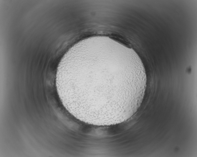 X0000115210078200911251518