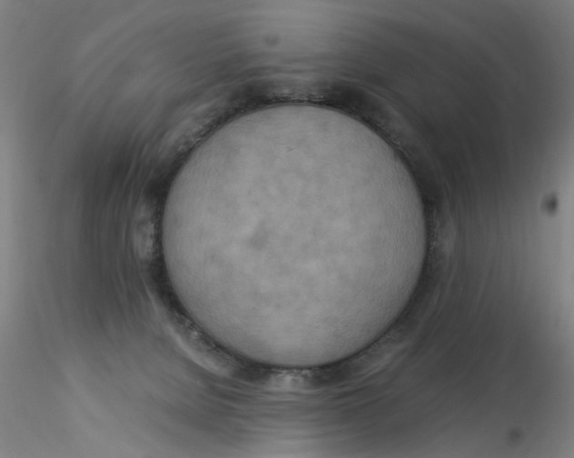 X0000115210080200911251518