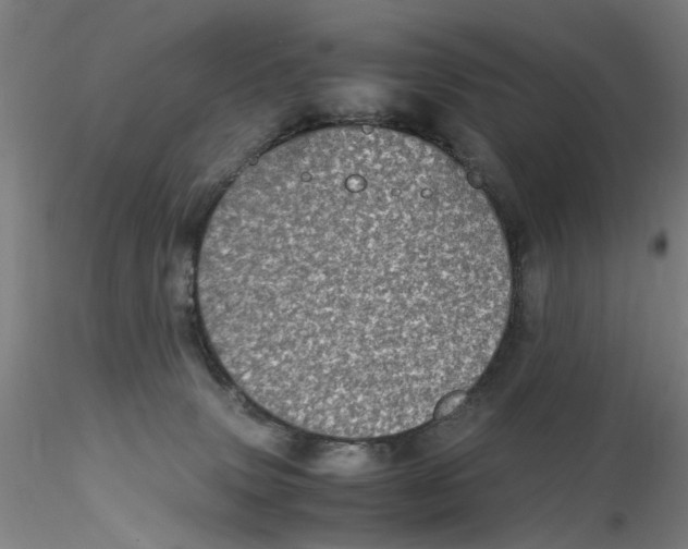 X0000115210083200911251518