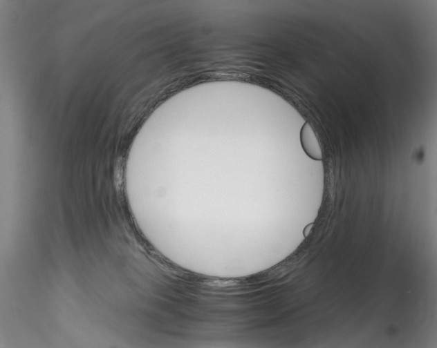 X0000115210085200911251518