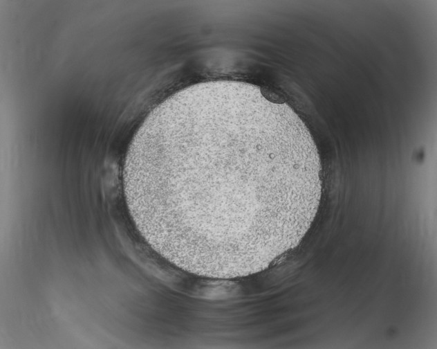 X0000115210087200911251518