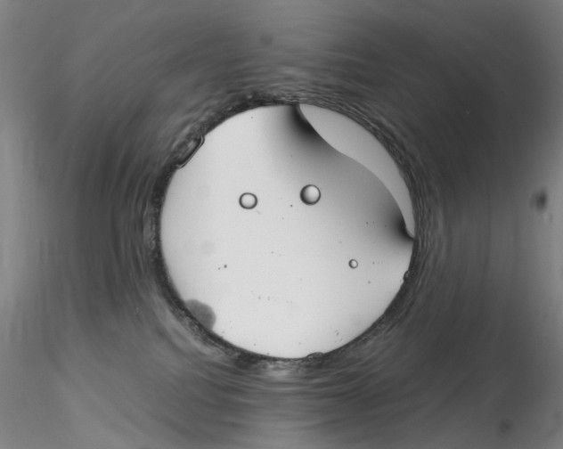 X0000115210088200911251518