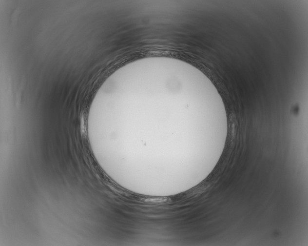 X0000115210089200911251518