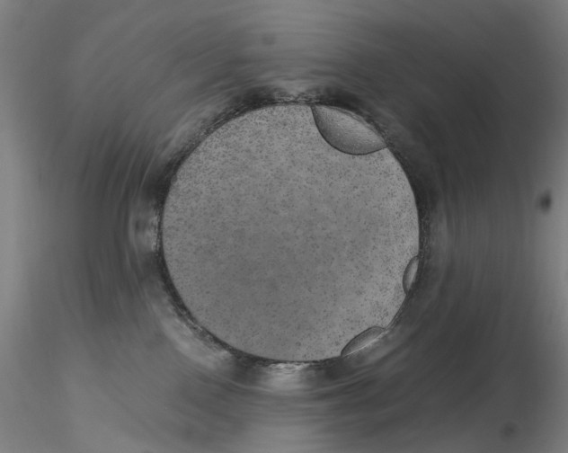 X0000115210090200911251518