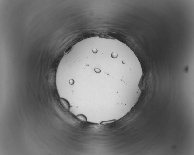 X0000115210092200911251518