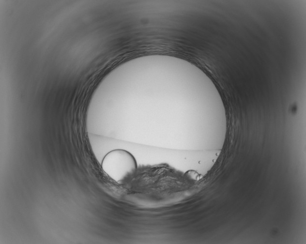 X0000115210093200911251518