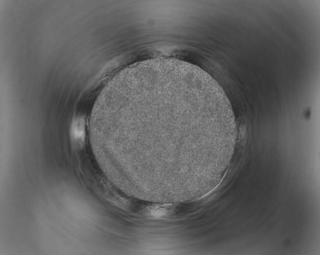 X0000115210094200911251518