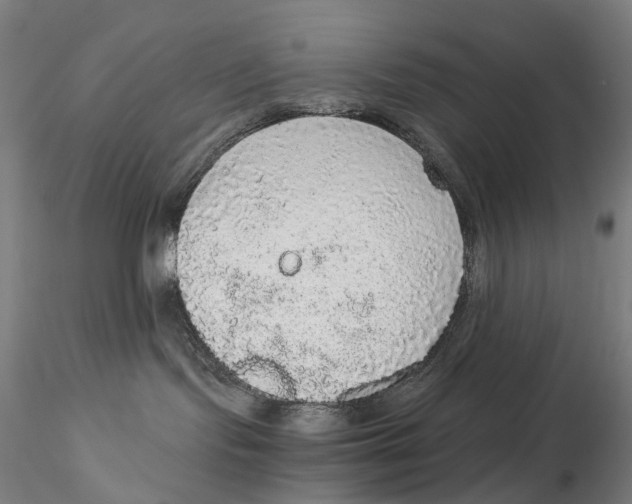 X0000115210095200911251518