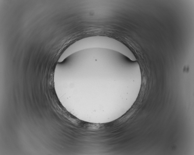 X0000115210096200911251518