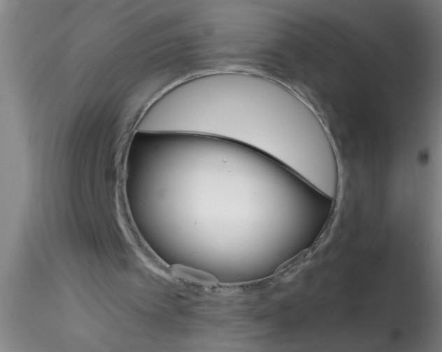 X0000115210097200911251517