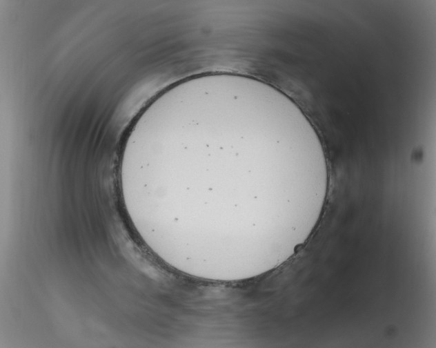 X0000115210098200911251517