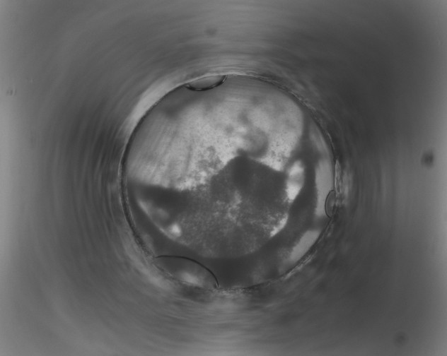 X0000115210099200911251517