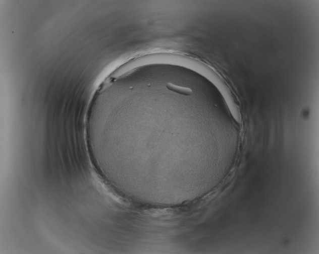 X0000115210100200911251517