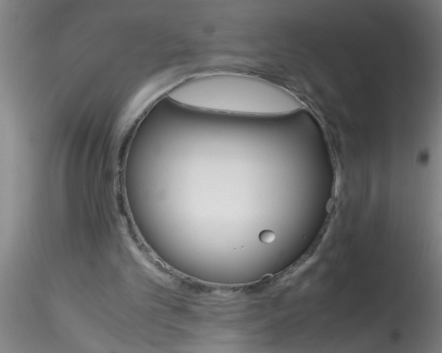 X0000115210101200911251517