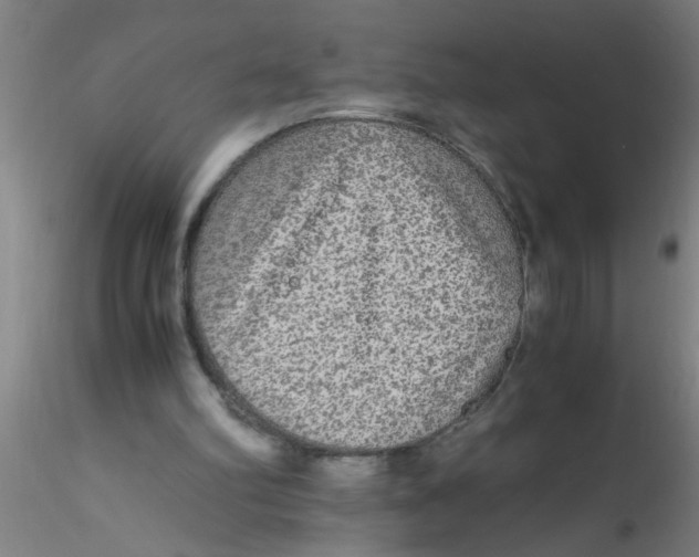 X0000115210102200911251517