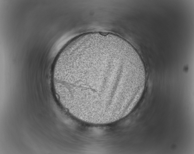 X0000115210103200911251517