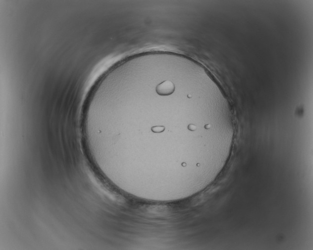 X0000115210104200911251517