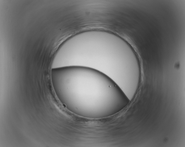 X0000115210105200911251517