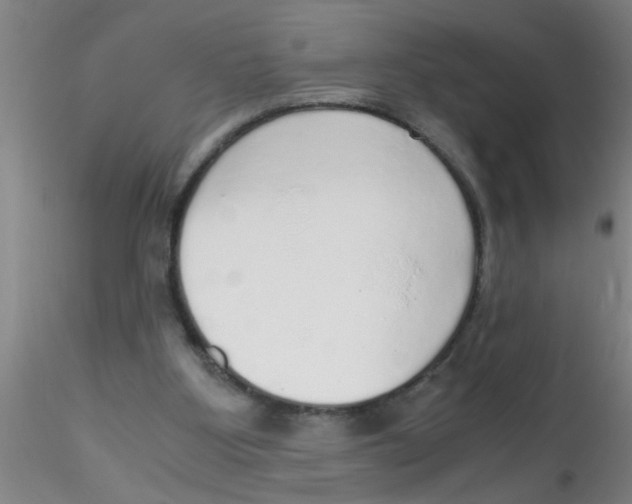 X0000115210107200911251517