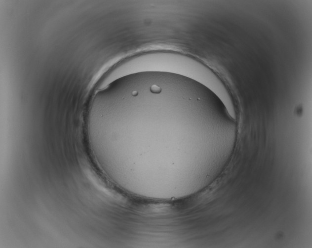 X0000115210108200911251517